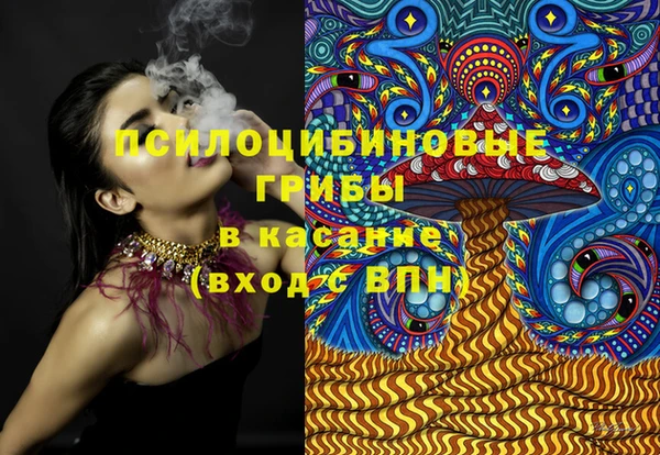 PSILOCYBIN Богданович